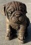 Dog Pug (Small)
