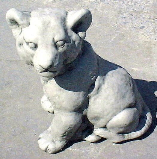 Lion Cub "CC"