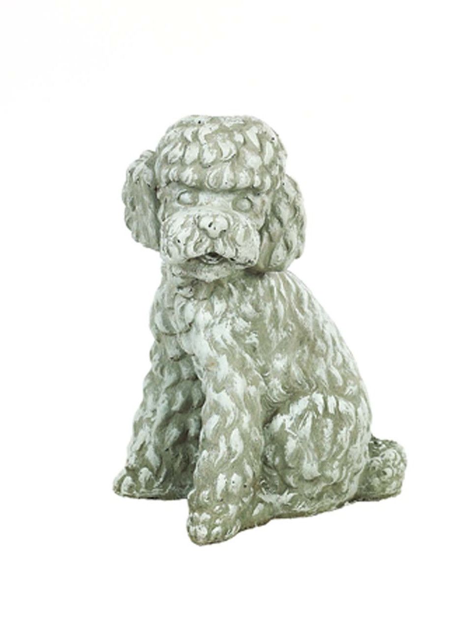 Dog Long Hair Poodle