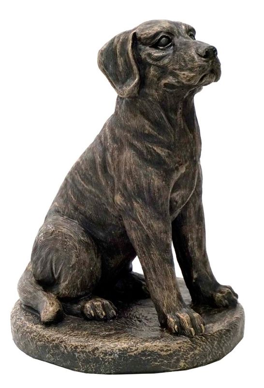 Dog Lab Sitting on base