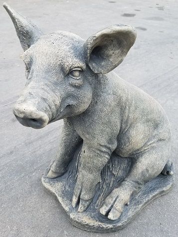 Pig Large Sitting  (CC)