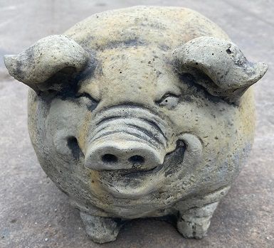 Pig Small Fat