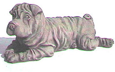 Dog Shar Pei