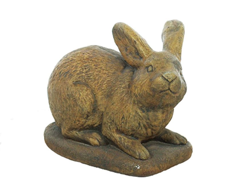 Rabbit Looking Right