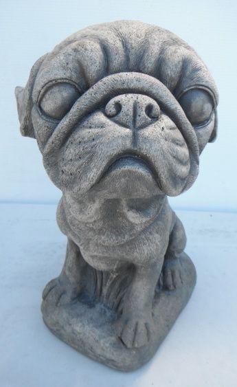 Dog Pug (Big Headed)