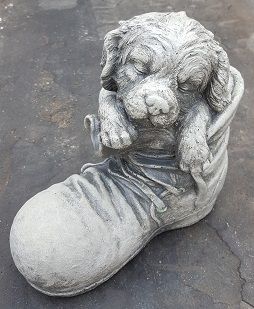 Dog Puppy in Boot