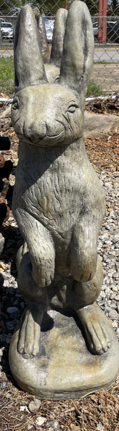 Rabbit Jack  (CC) Natural