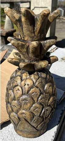 Welcome Pineapple  (CC)