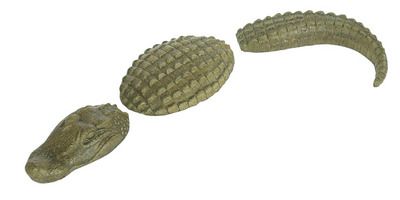 Alligator 3 Piece Medium