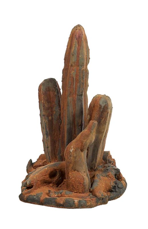 Cactus with Skull
