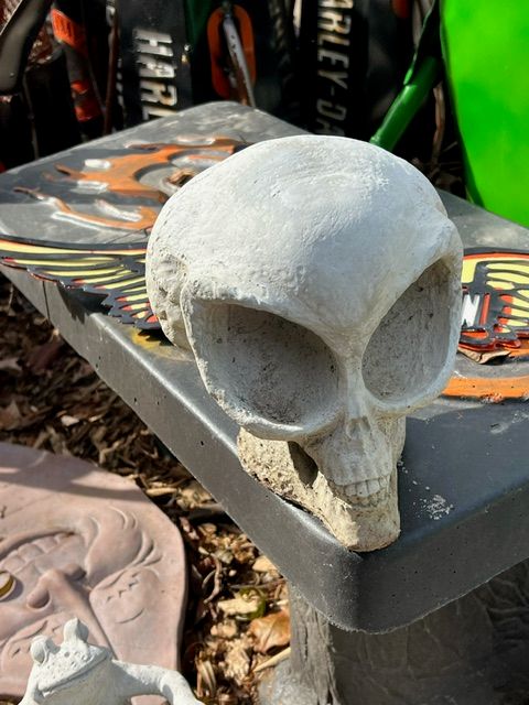 Alien Skull