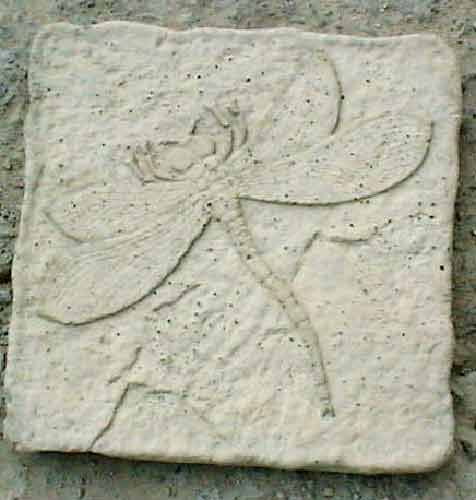 Dragonfly Stepping Stone