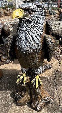 Eagle on Branch