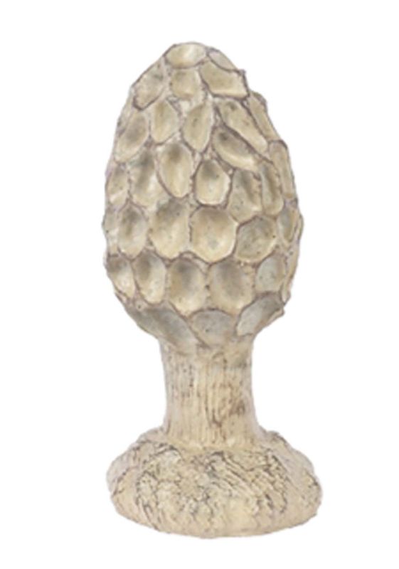 Small Morel Msuhroom