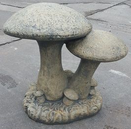 Large Mushroom Cluster