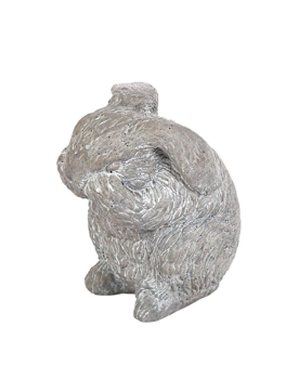 Rabbit Bunny Scratching Nose