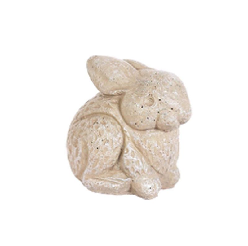 Rabbit Chubby Face Bunny