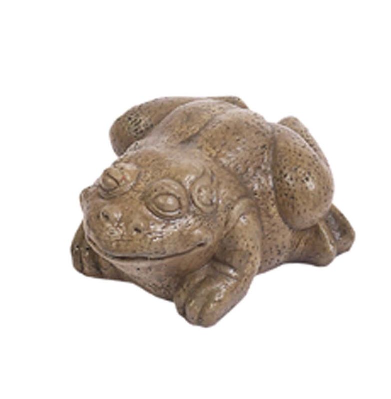 Frog Bullfrog Small