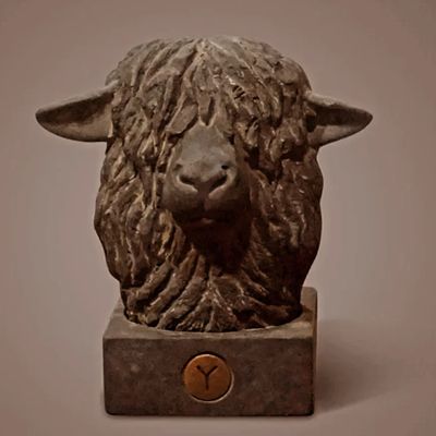 BRYNXZ COLLECTIONS 