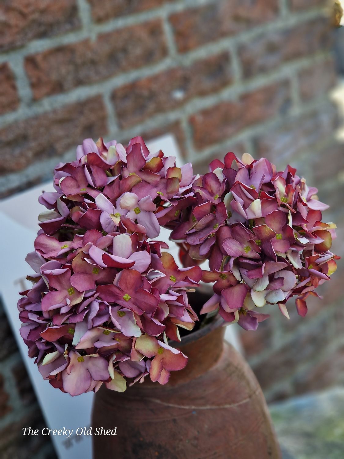Zijdehortensia bordeaux