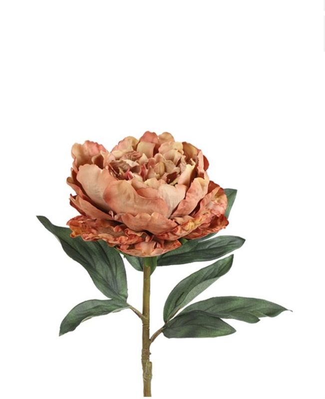 Peony oud roze-L20B20H72CM