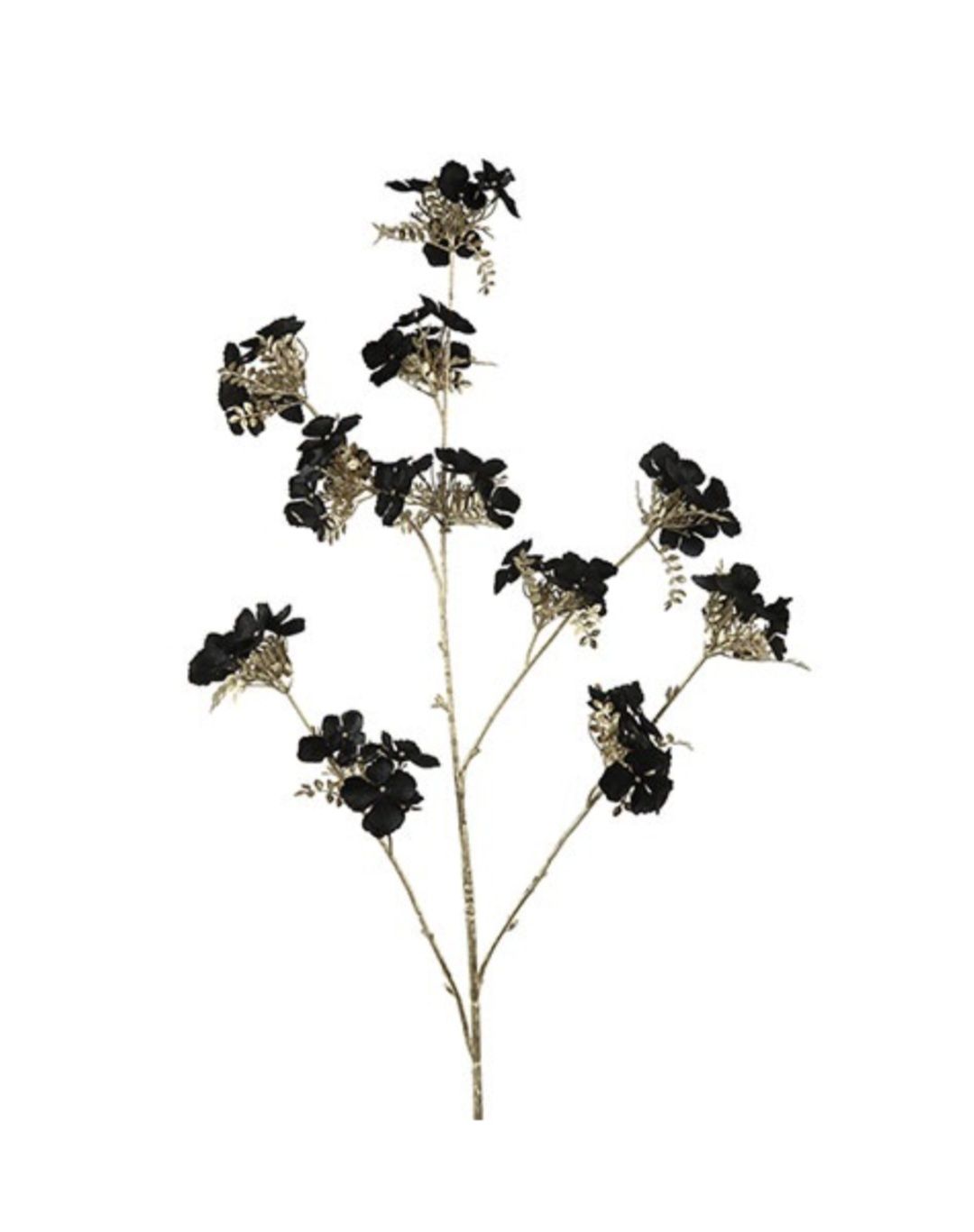 Hydrangea L zwart-L8B17H112CM