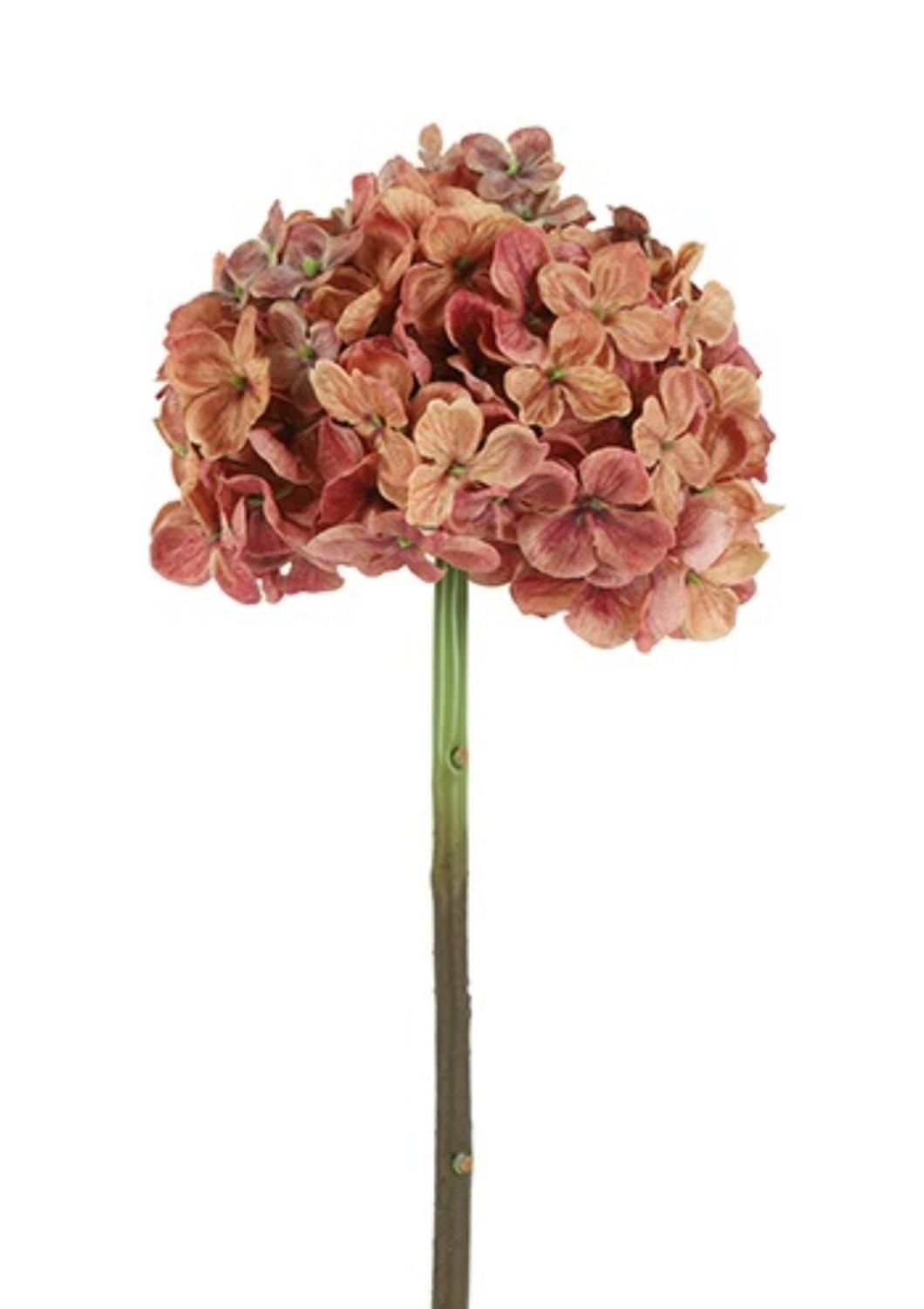 Hydrangea roze/zalm-L18B18H46CM