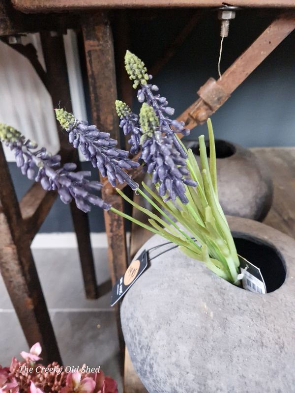 Muscari kunst