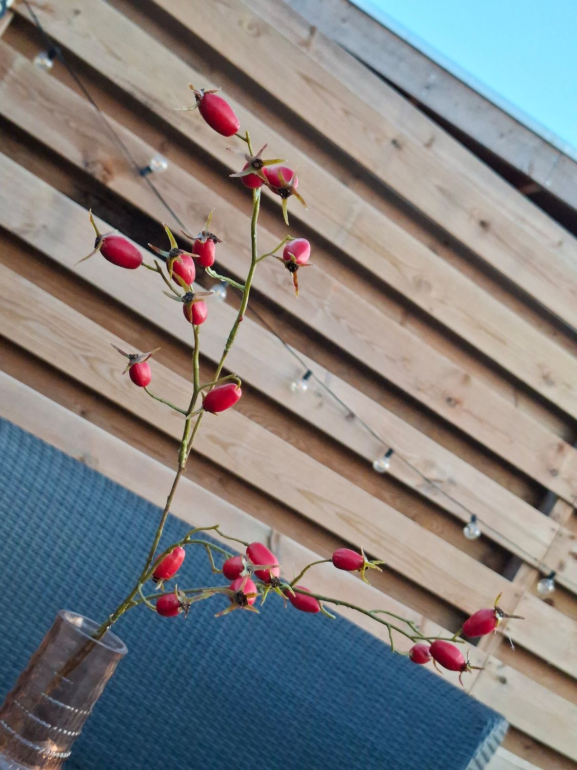 Rozenbottel Kunsttak 80cm – Natuurlijke Herfstsfeer