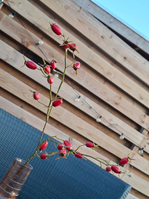 Rozenbottel Kunsttak 80cm – Natuurlijke Herfstsfeer