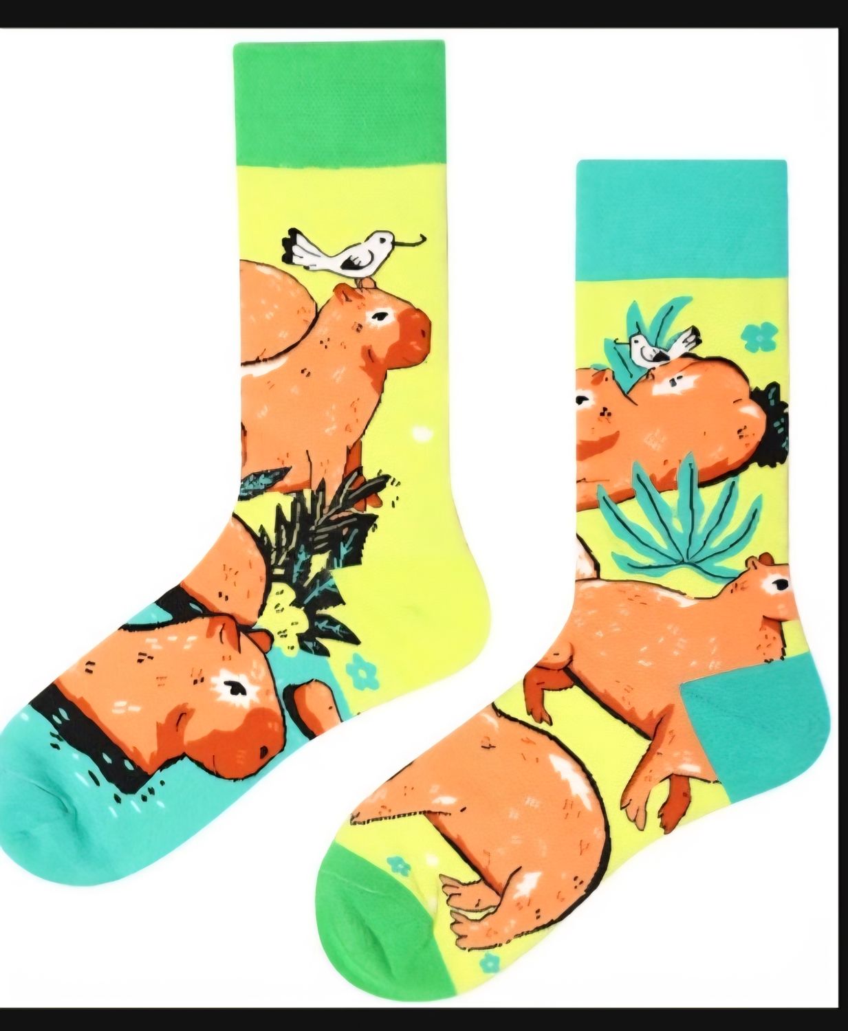 Blije Sokken – Capibara Sokken (€4,95 per paar, maat 38-44)