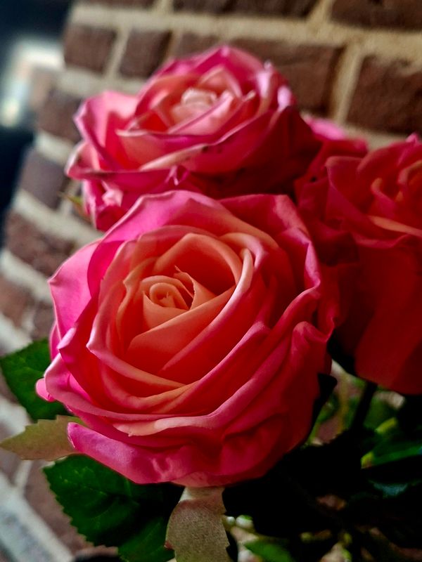 Real Touch Kunstroos Peach Roze– 45 cm