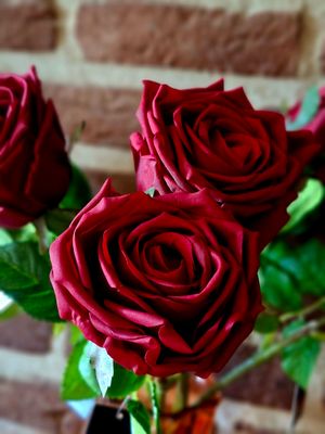 Zijde, Kunst Bloemen en Planten