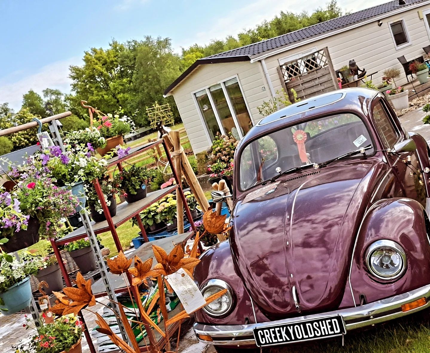 🌸 Bloemen of cadeaus laten bezorgen in de gemeente Oldambt