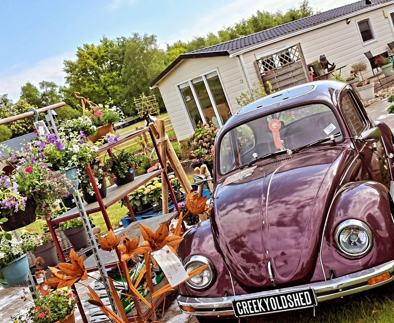 🌸 Bloemen of cadeaus laten bezorgen in de gemeente Oldambt