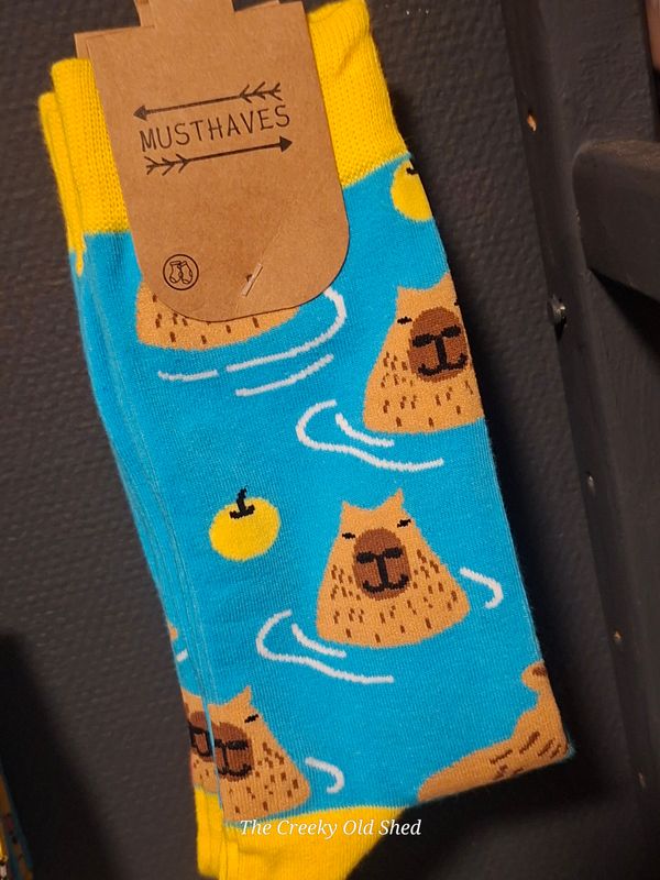 Blije Sokken – Zwemmende Capibara’s 🌊