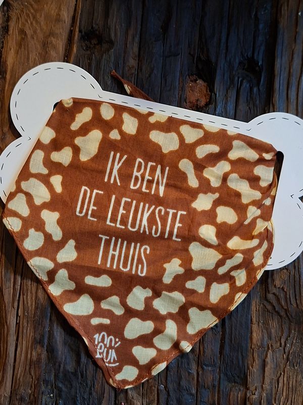 🐾 100%LEUK Hondenbandana – Maat S