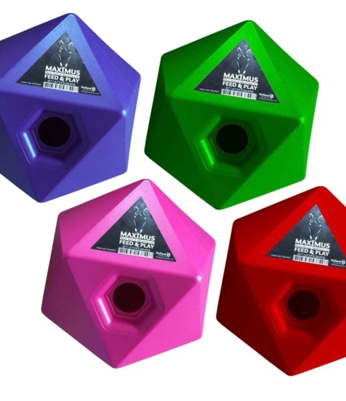 Maximus Feed &amp; Play rood