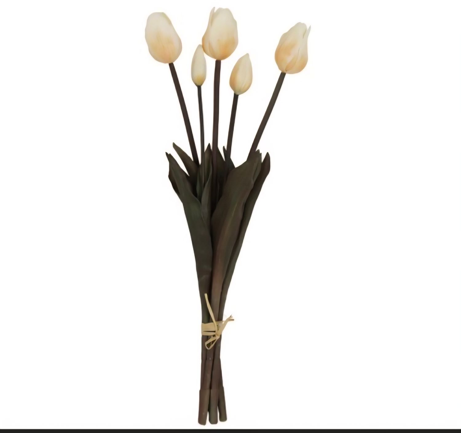 Real Touch kunsttulpen – Crème wit (5 stelen) €6,95 per bos
