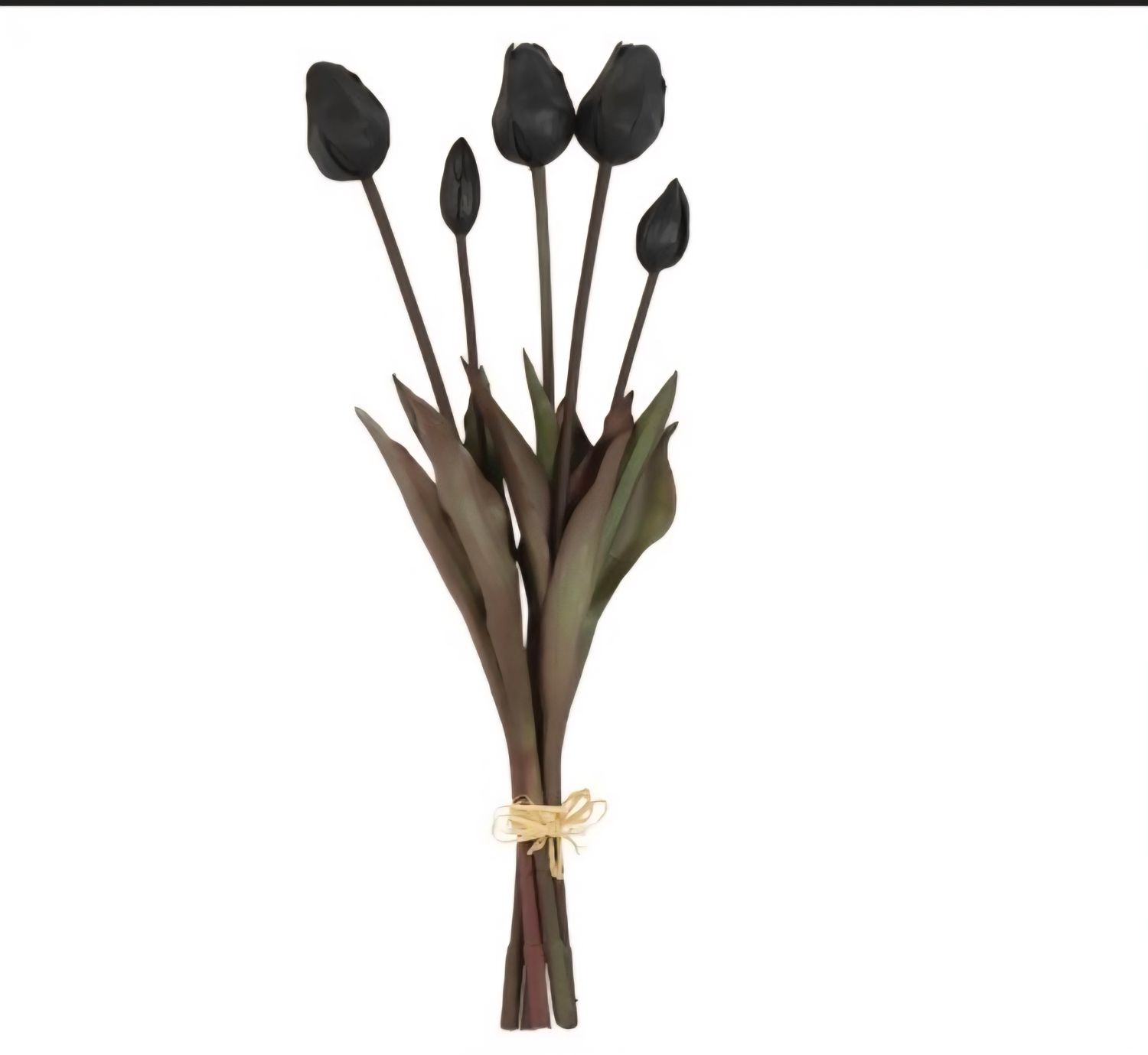 Real Touch kunsttulpen – Zwart (5 stelen) €6,95 per bos