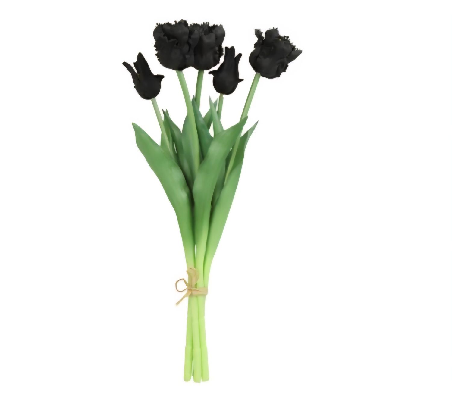 Papegaai Real Touch kunsttulp – Zwart (5 stelen) €10,00 per bos