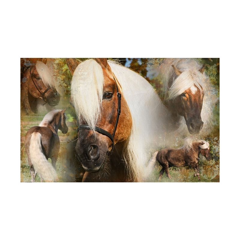 Excellent Horse Hi Gloss Spray – 500 ml €12,50