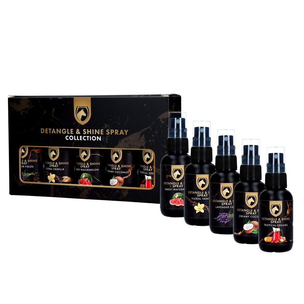 Detangle &amp; Shine Spray Geschenkset 5 x 50 ML