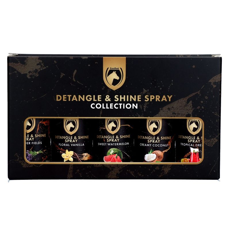 Detangle &amp; Shine Spray Geschenkset 5 x 50 ML