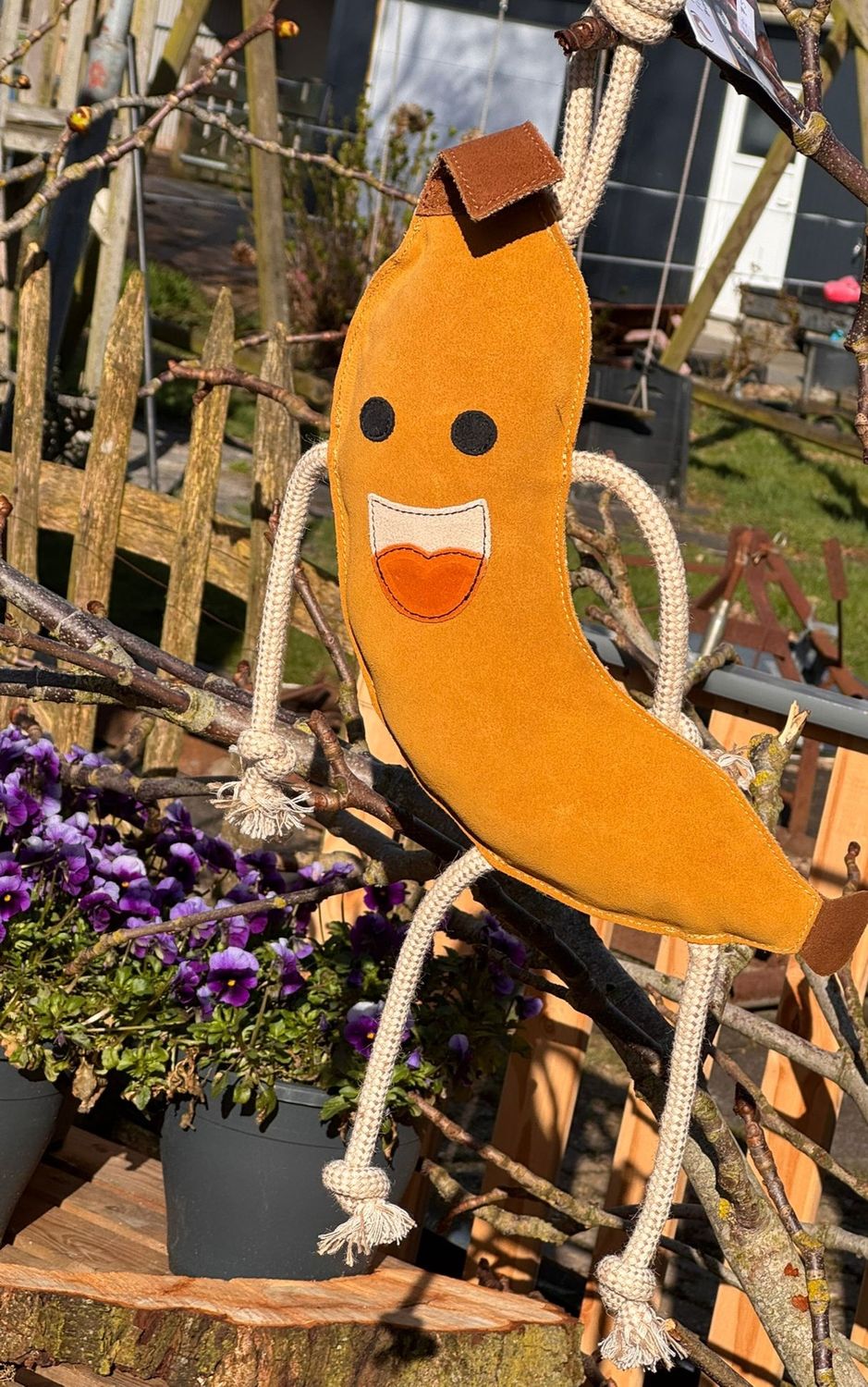 Foodie Friend – Banana