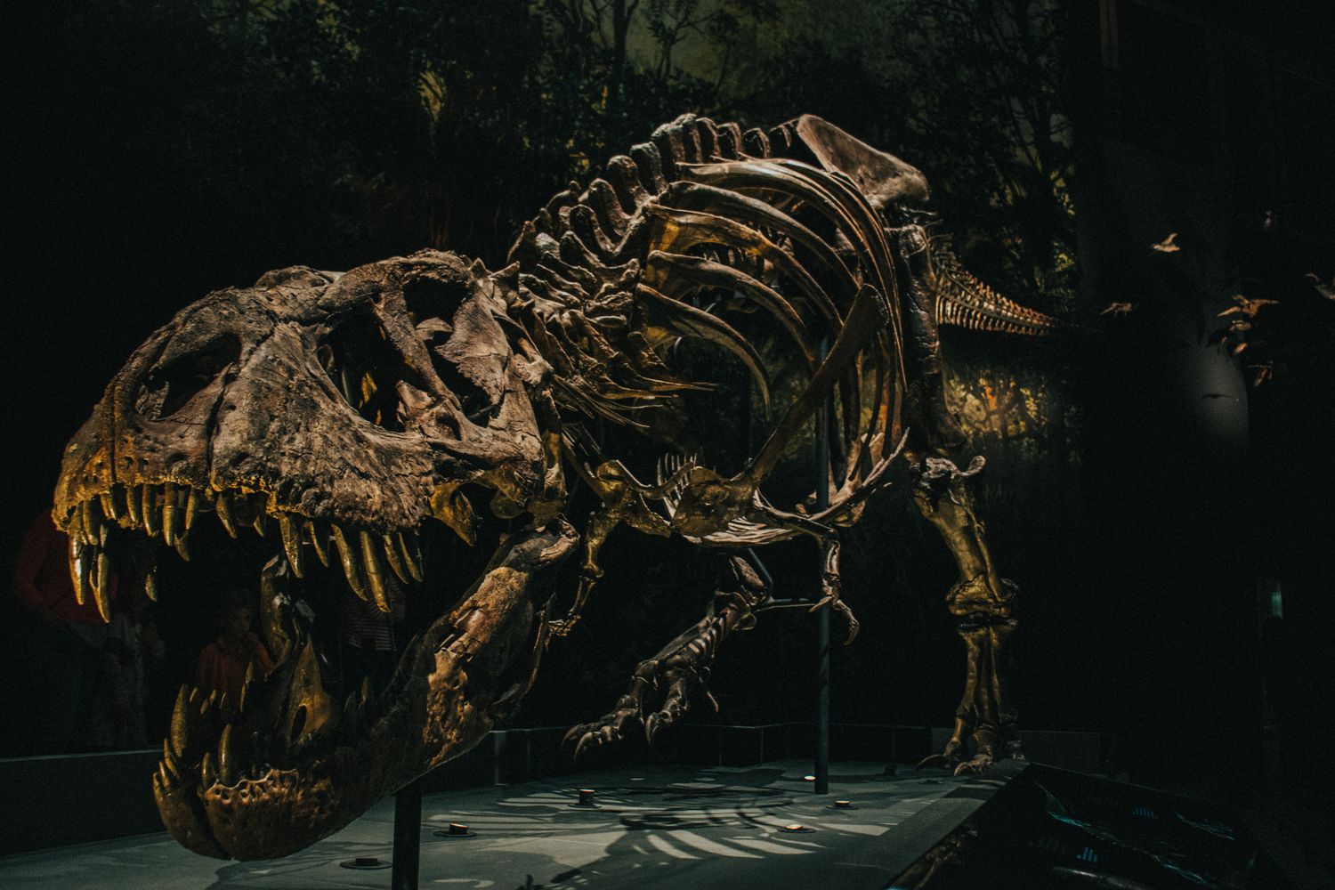 T-rex