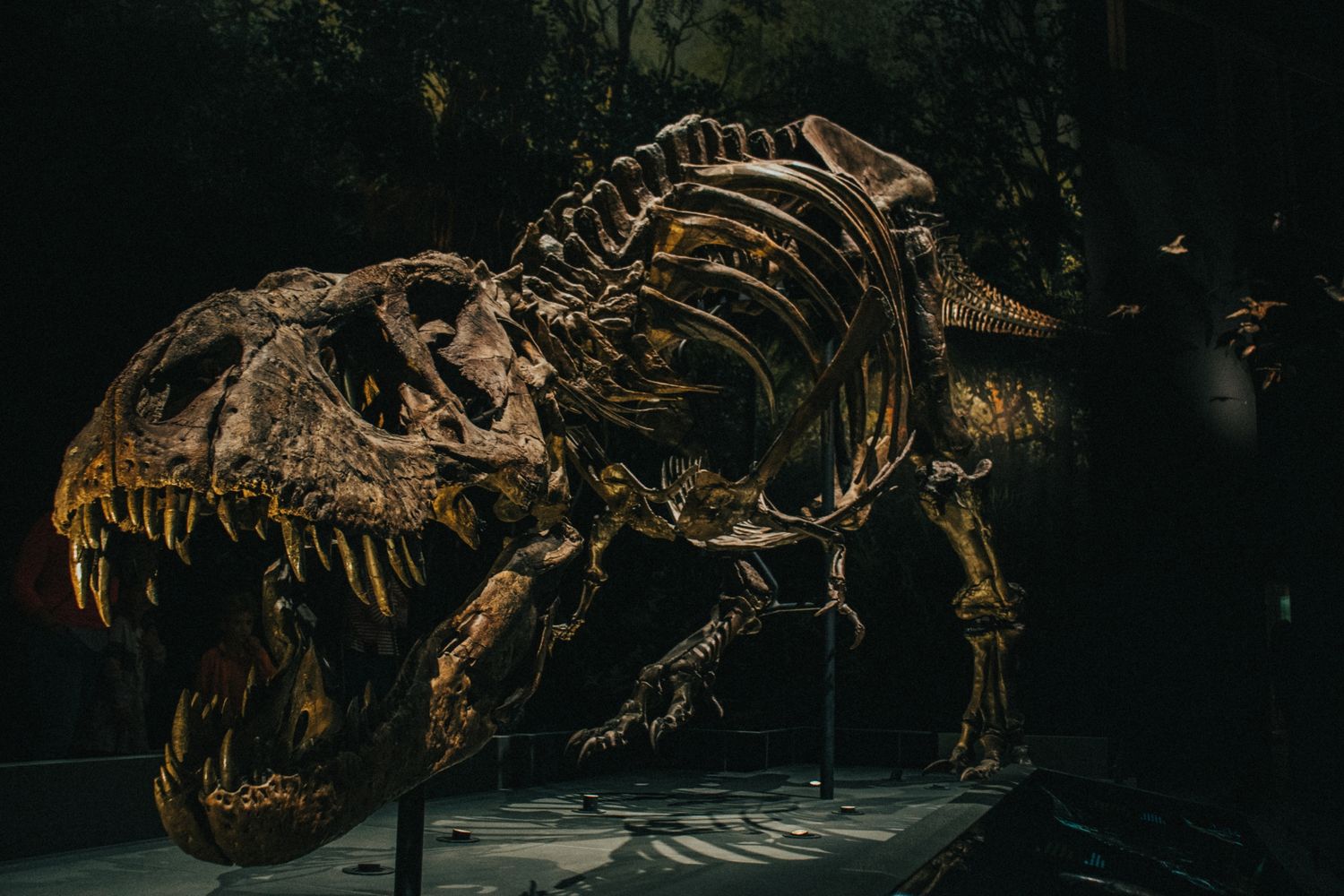T-rex