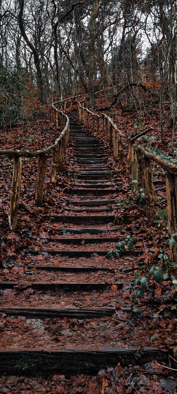 Herfstige traptredes