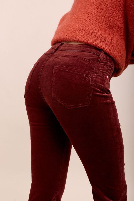 Toxik Push Up Cord In Burgundy