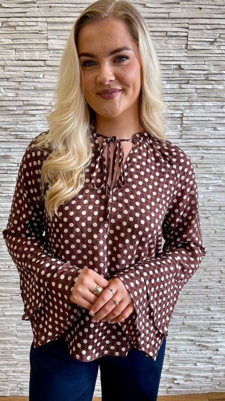 The Julia Polka Dot Blouse In Chocolate